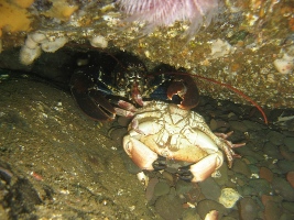 Abbs August '09 086.jpg